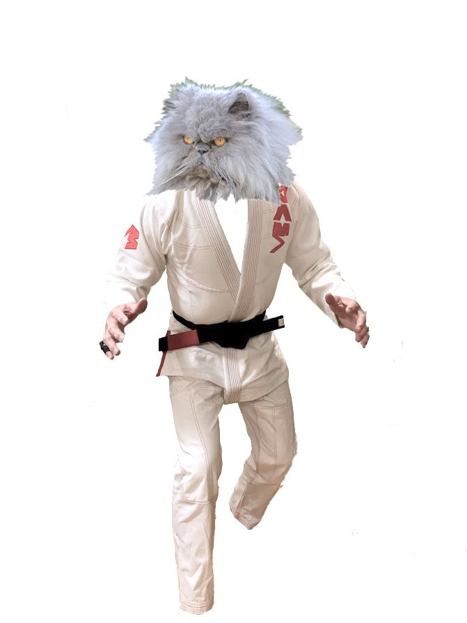 front v3da #series2 bjj gi