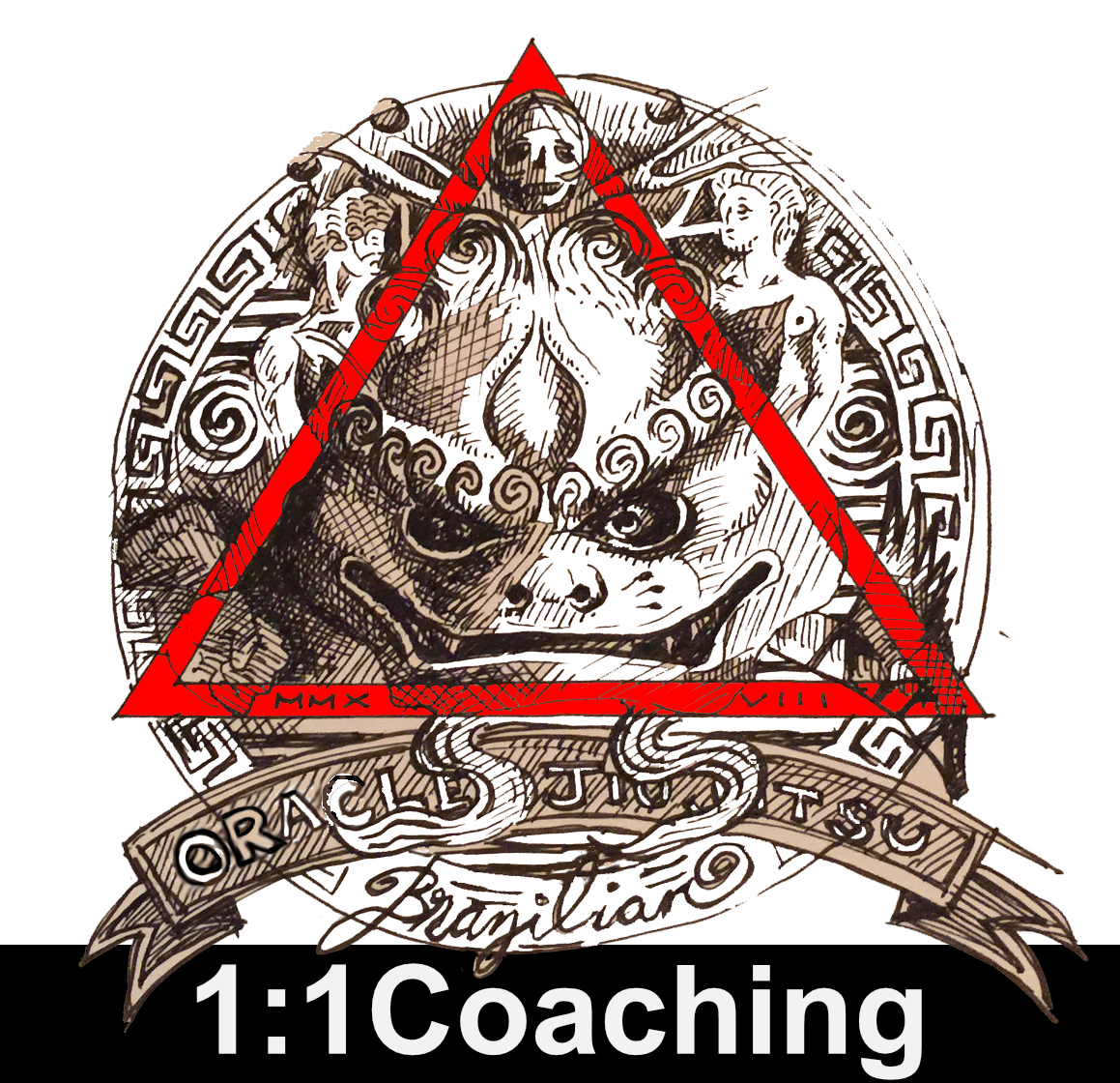 ORACLE 1-1 coaching